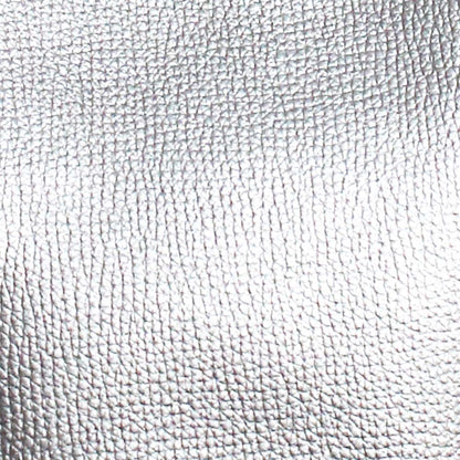 Capsule bag Silver